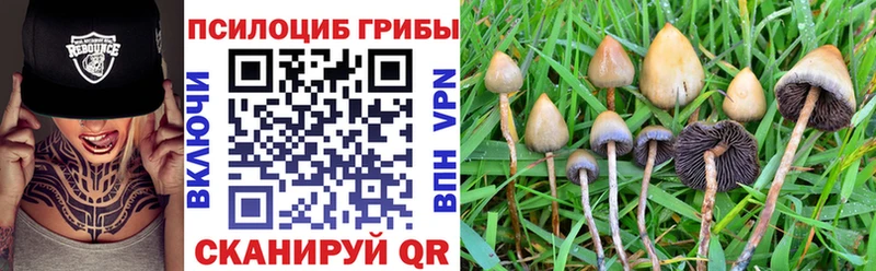 Псилоцибиновые грибы Magic Shrooms  Глазов 