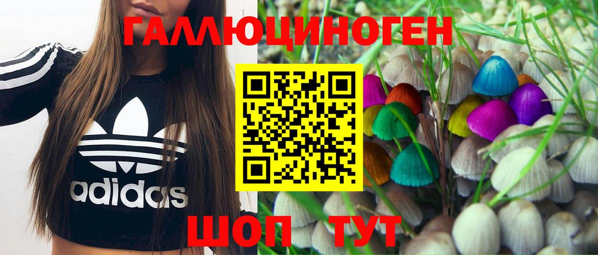 Псилоцибиновые грибы Magic Shrooms  хочу   Глазов  Псилоцибиновые грибы Psilocybine cubensis  Вход с VPN 